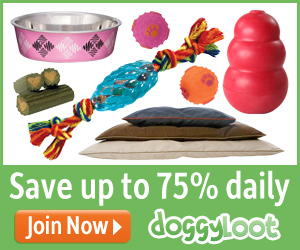 DoggyLoot Daily deals