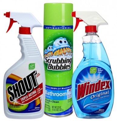 Windex Outdoor Window And Surface Cleaner Coupon 10