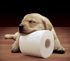 cottonelle-toilet-paper-puppy-dog