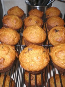 Pumpkin Chocolate Chip Muffins