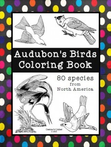 Audobon's Birds Coloring Book