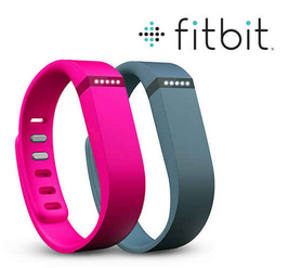 FitBit Flex Only $44.99 {Best Price!}